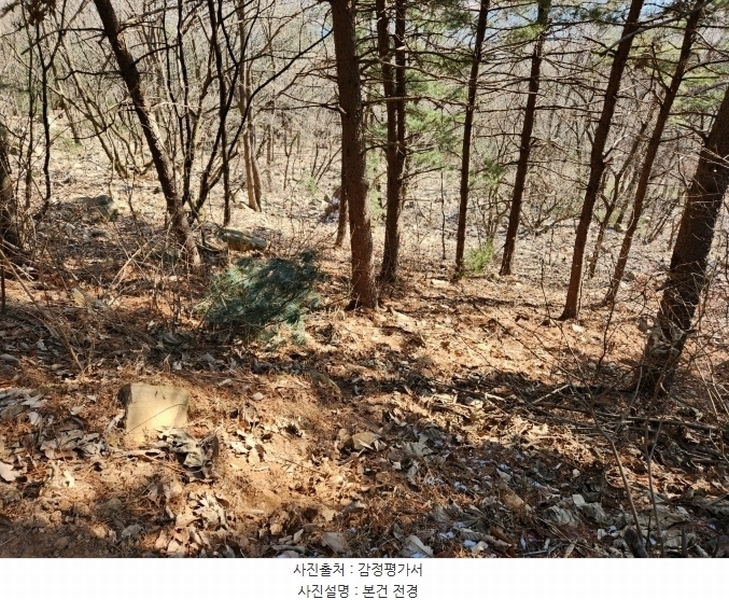 2024타경86727 경기도 남양주시 화도읍 금남리 산56-110 임야 경매 이미지