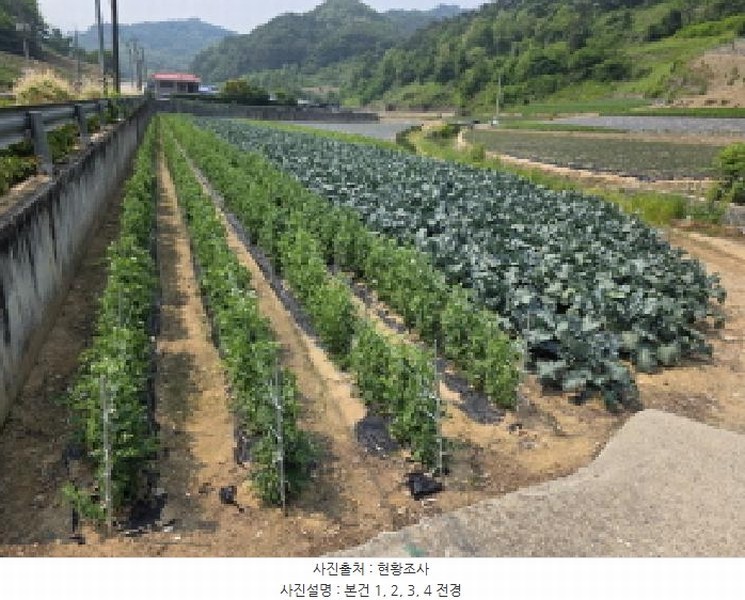 2025타경102 충청북도 제천시 수산면 내리 243-2 농지 경매 이미지