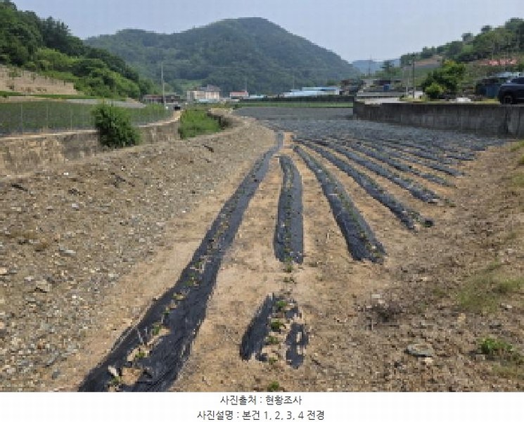 2025타경102 충청북도 제천시 수산면 내리 243-2 농지 경매 이미지