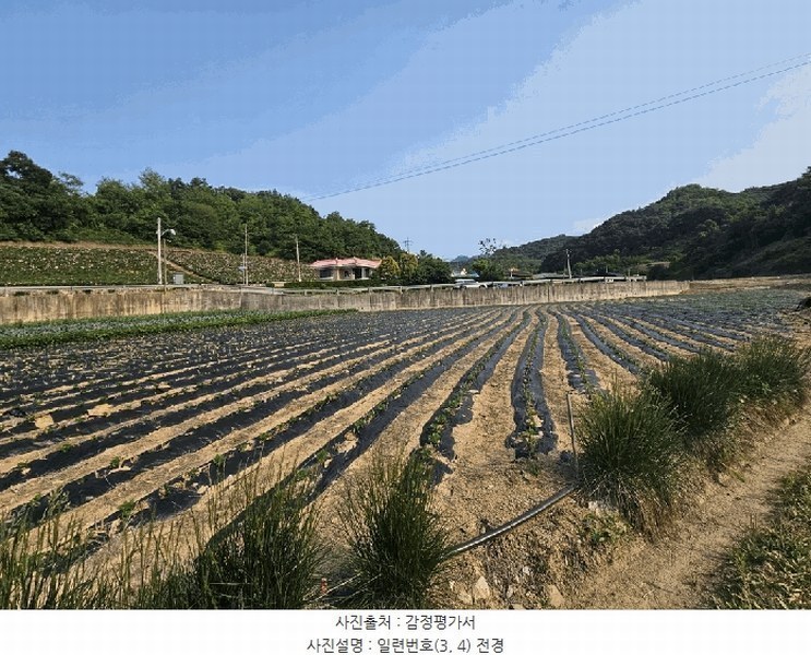 2025타경102 충청북도 제천시 수산면 내리 243-2 농지 경매 이미지