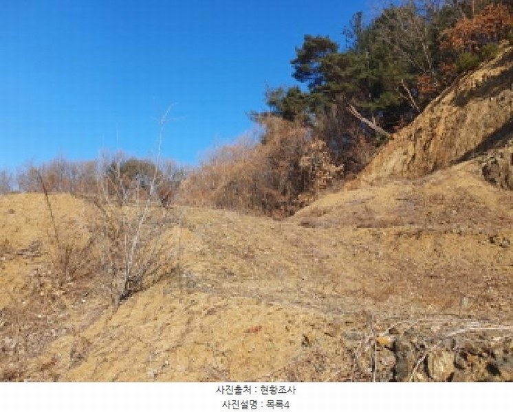2025타경70842 경기도 가평군 가평읍 대곡리 산46-5 임야 경매 이미지