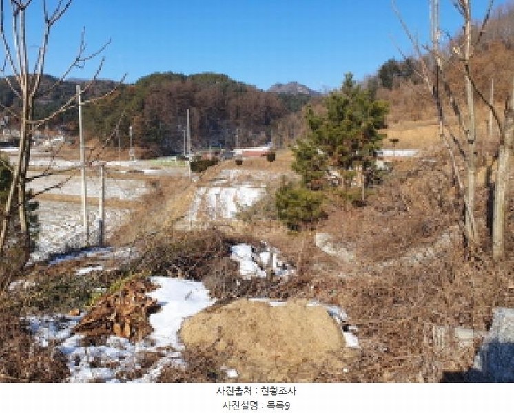 2025타경70842 경기도 가평군 가평읍 대곡리 산46-5 임야 경매 이미지