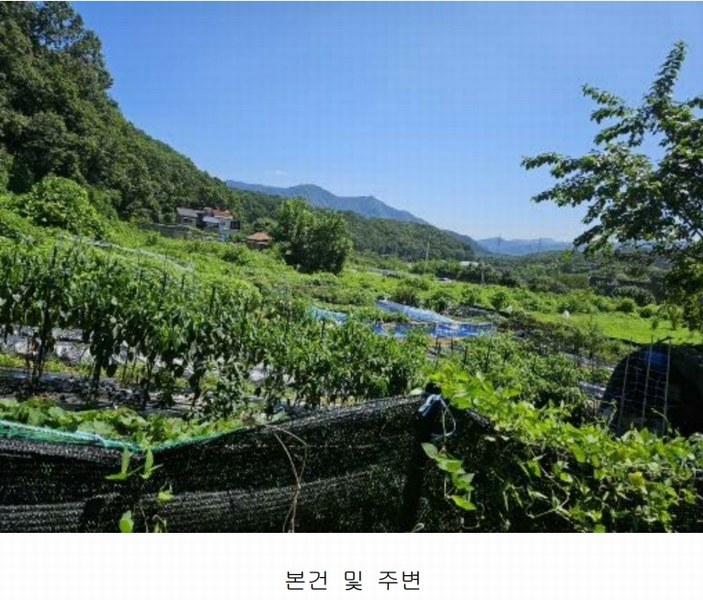 2024타경4473 경기도 남양주시 화도읍 답내리 65 농지 경매 이미지