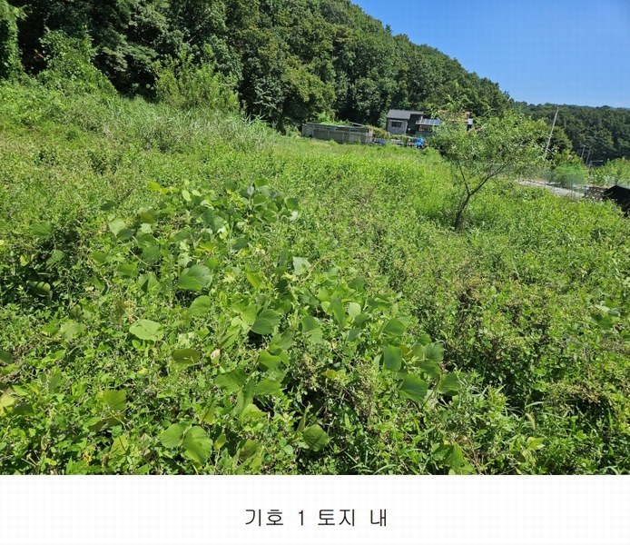 2024타경4473 경기도 남양주시 화도읍 답내리 65 농지 경매 이미지