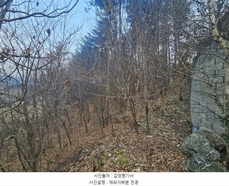 2024타경5780 경기도 가평군 설악면 신천리 산66-7 임야 경매 이미지