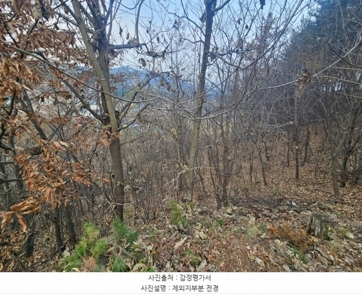 2024타경5780 경기도 가평군 설악면 신천리 산66-7 임야 경매 이미지