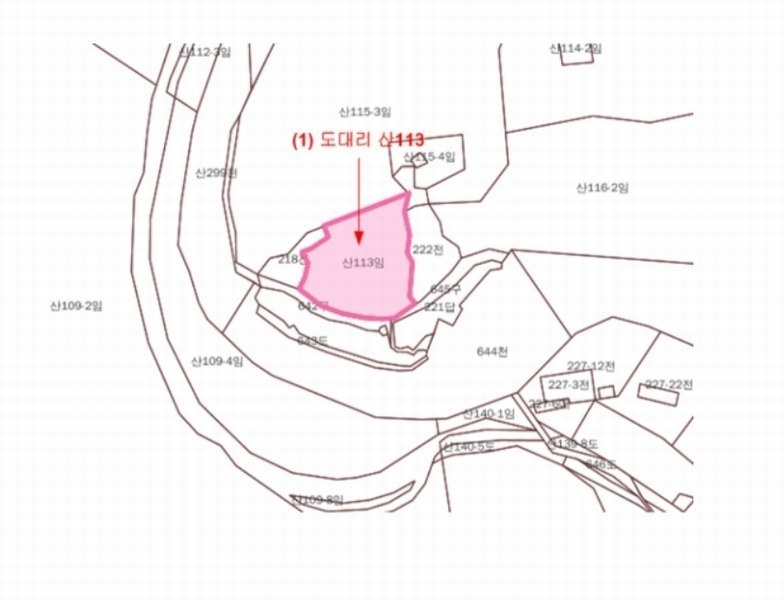 2024타경80675 경기도 가평군 북면 도대리 산113 임야 경매 이미지