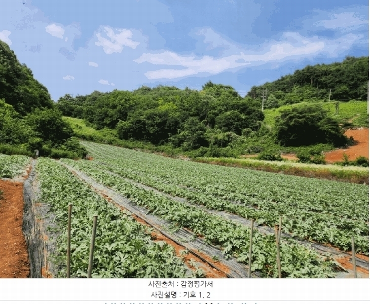2025타경119 충청북도 단양군 매포읍 하시리 4-1 농지 경매 이미지