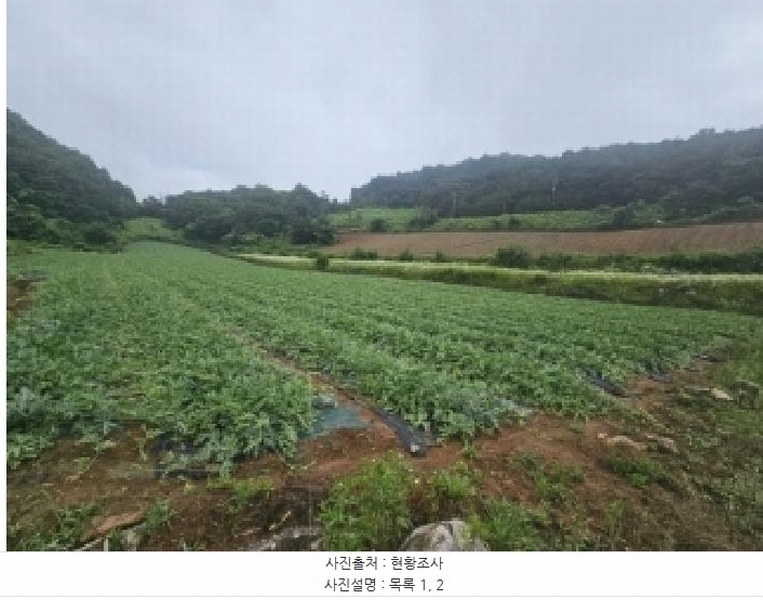 2025타경119 충청북도 단양군 매포읍 하시리 4-1 농지 경매 이미지