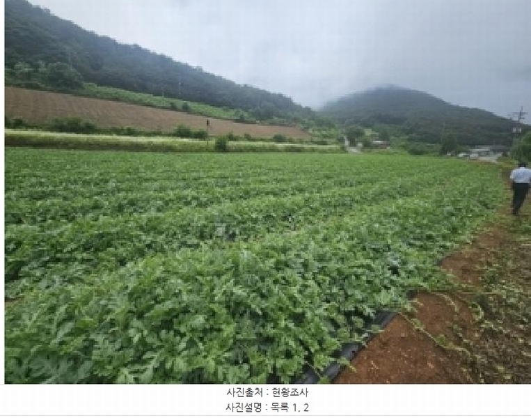 2025타경119 충청북도 단양군 매포읍 하시리 4-1 농지 경매 이미지