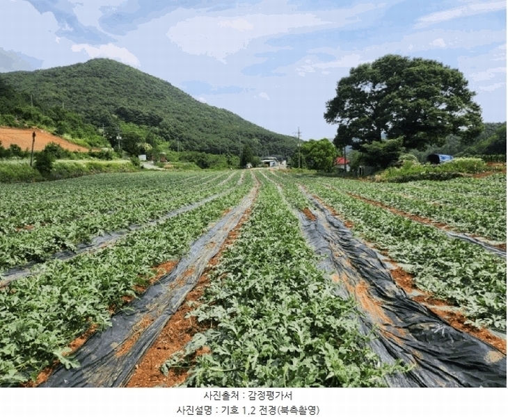2025타경119 충청북도 단양군 매포읍 하시리 4-1 농지 경매 이미지