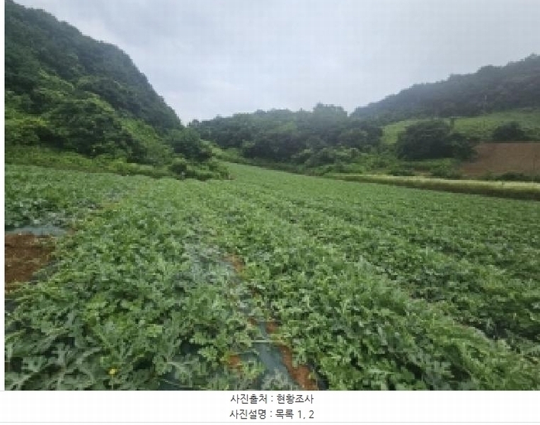 2025타경119 충청북도 단양군 매포읍 하시리 4-1 농지 경매 이미지