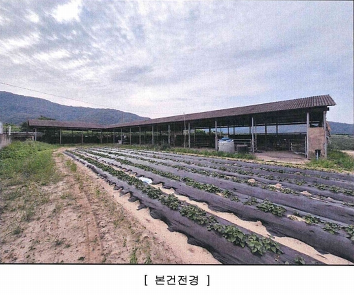 2025타경1143 대구광역시 달성군 구지면 도동리 214-8 농가관련시설 경매 이미지