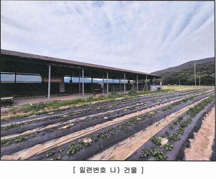 2025타경1143 대구광역시 달성군 구지면 도동리 214-8 농가관련시설 경매 이미지