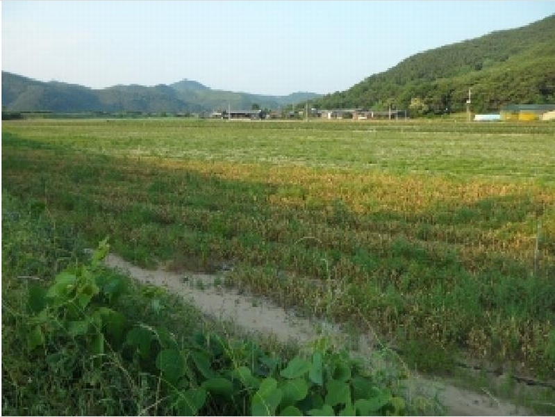 2025타경1143 대구광역시 달성군 구지면 도동리 214-8 농가관련시설 경매 이미지