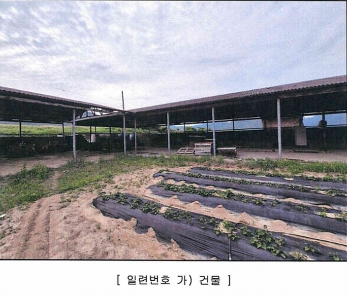 2025타경1143 대구광역시 달성군 구지면 도동리 214-8 농가관련시설 경매 이미지