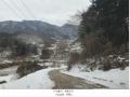 2025타경70323 경기도 가평군 설악면 미사리 575-4 임야 경매 이미지