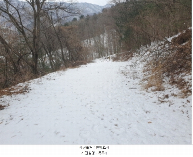 2025타경70323 경기도 가평군 설악면 미사리 575-4 임야 경매 이미지