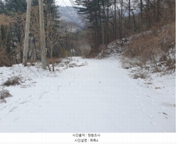 2025타경70323 경기도 가평군 설악면 미사리 575-4 임야 경매 이미지