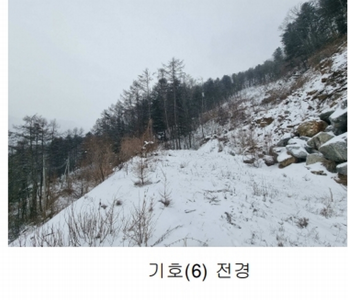 2025타경70323 경기도 가평군 설악면 미사리 575-4 임야 경매 이미지