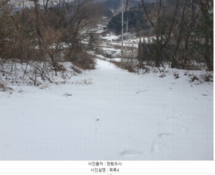 2025타경70323 경기도 가평군 설악면 미사리 575-4 임야 경매 이미지