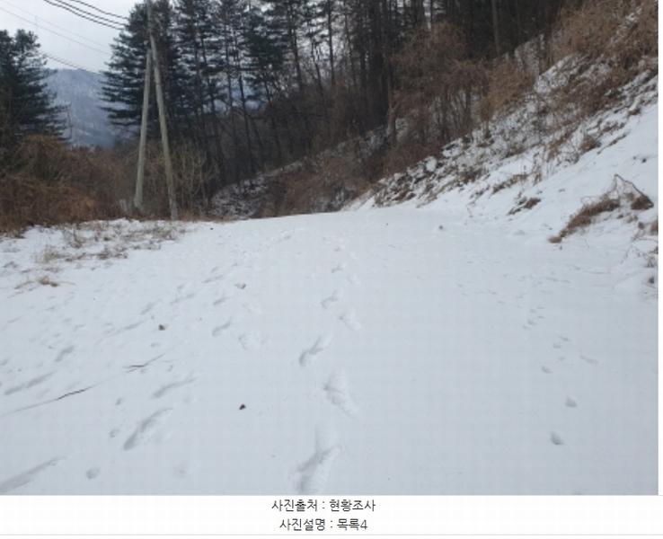 2025타경70323 경기도 가평군 설악면 미사리 575-4 임야 경매 이미지