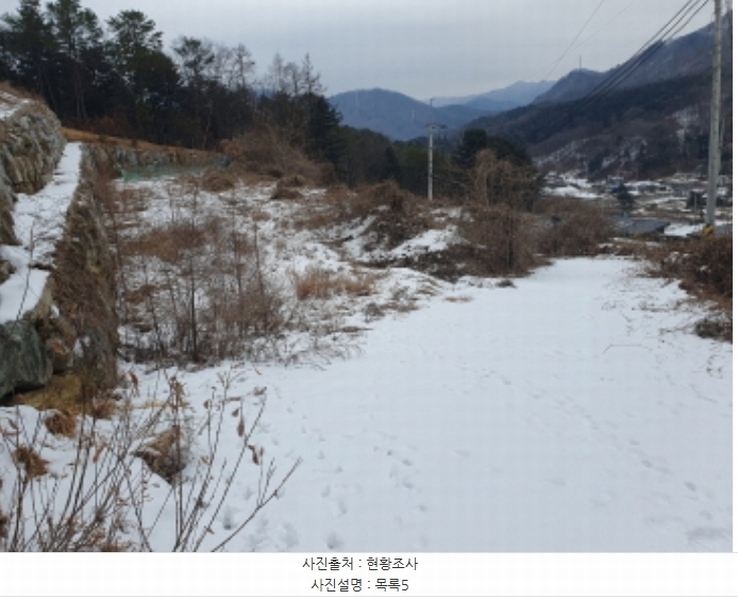 2025타경70323 경기도 가평군 설악면 미사리 575-4 임야 경매 이미지