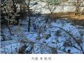 2025타경70743 경기도 남양주시 진접읍 부평리 349-28 공장 경매 이미지
