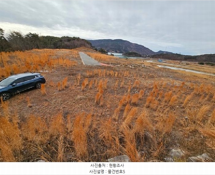 2025타경519 경상남도 하동군 금남면 대치리 70-53 임야 경매 이미지