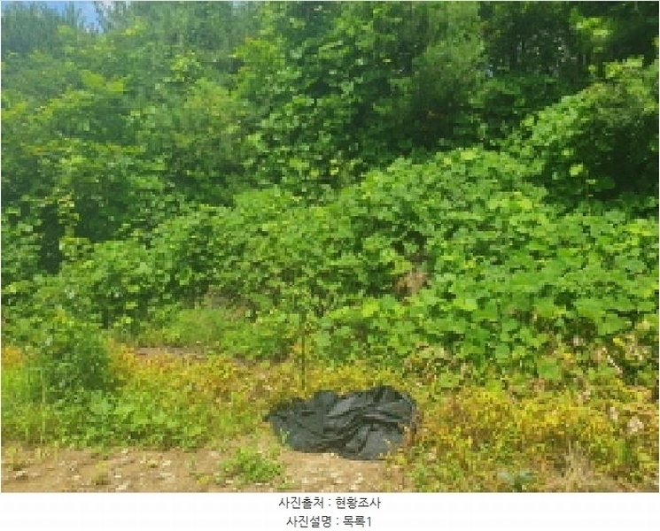 2025타경71471 경기도 남양주시 수동면 외방리 산68-5 임야 경매 이미지