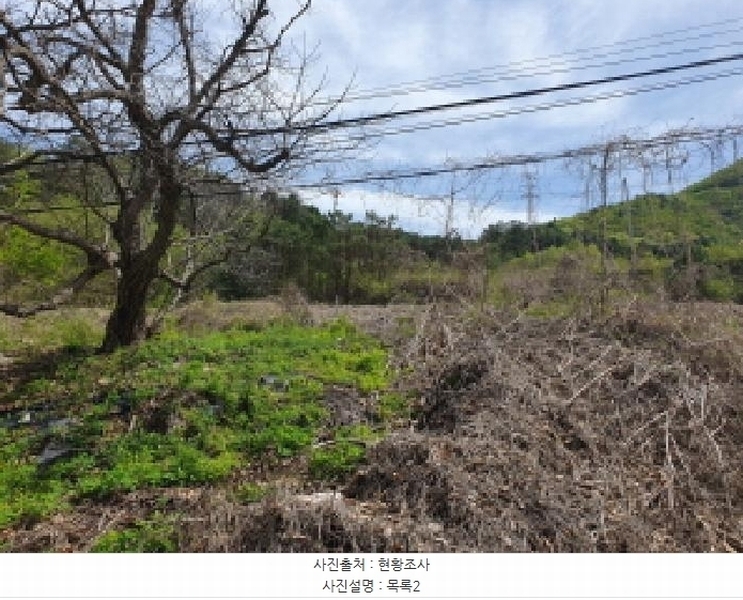 2025타경71559 경기도 가평군 설악면 회곡리 388-6 임야 경매 이미지
