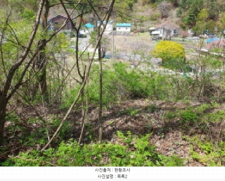 2025타경71559 경기도 가평군 설악면 회곡리 388-6 임야 경매 이미지