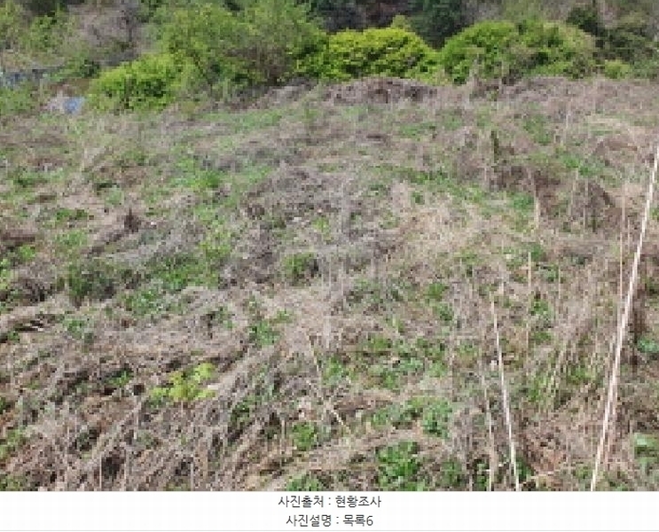 2025타경71559 경기도 가평군 설악면 회곡리 388-6 임야 경매 이미지