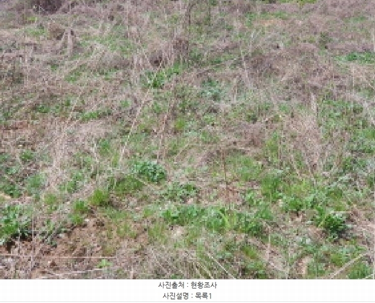2025타경71559 경기도 가평군 설악면 회곡리 388-6 임야 경매 이미지
