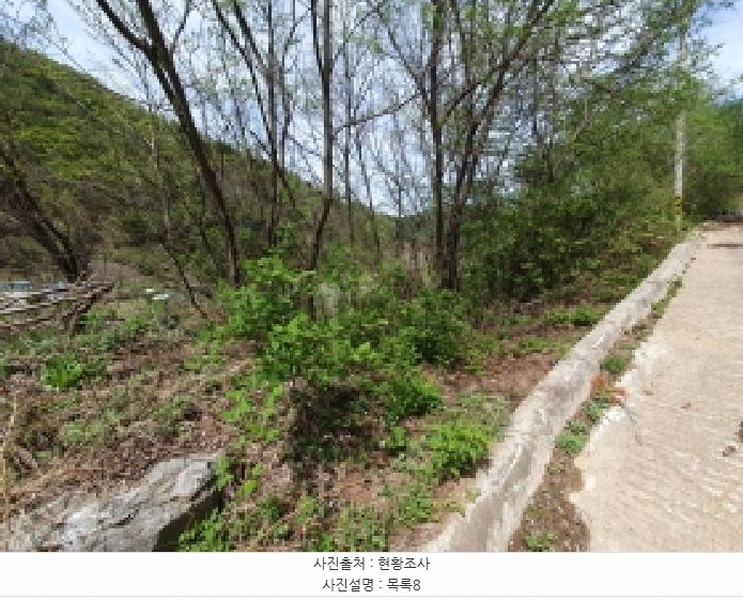 2025타경71559 경기도 가평군 설악면 회곡리 388-6 임야 경매 이미지