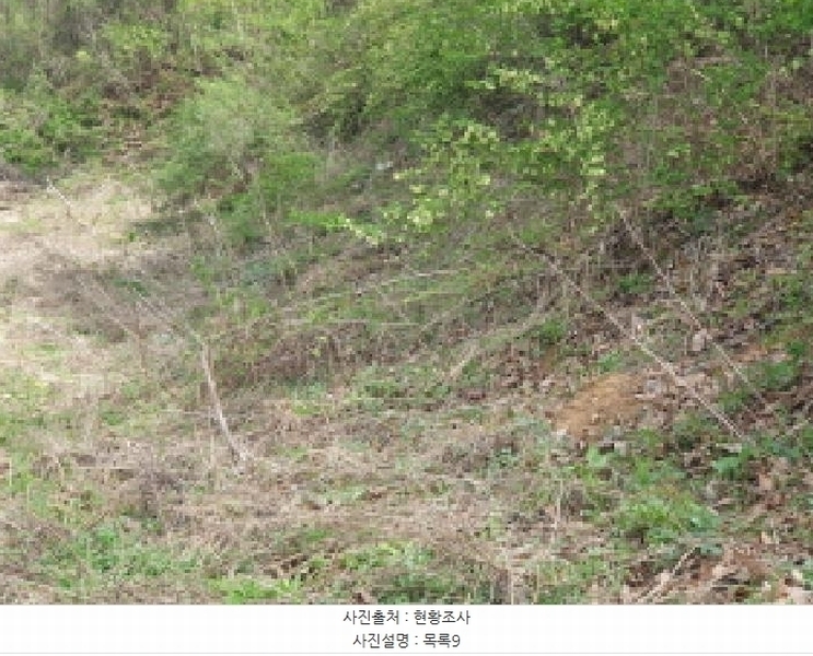 2025타경71559 경기도 가평군 설악면 회곡리 388-6 임야 경매 이미지