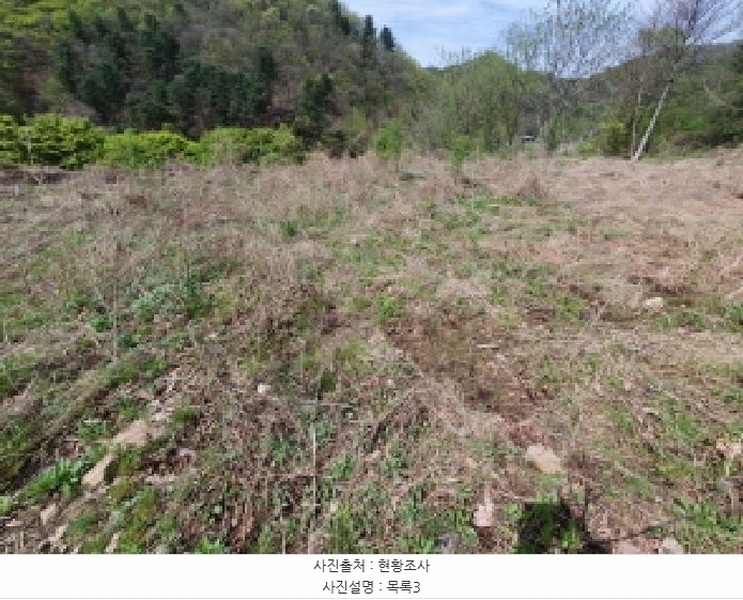 2025타경71559 경기도 가평군 설악면 회곡리 388-6 임야 경매 이미지