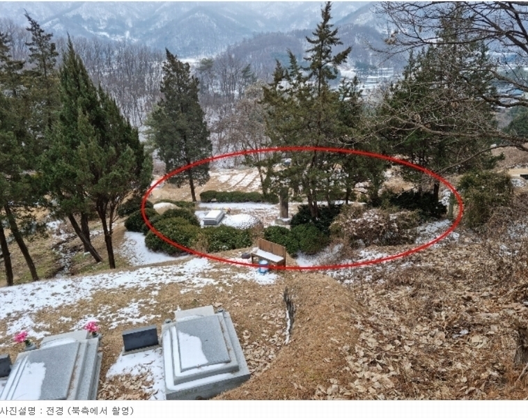 2023타경82797 경기도 남양주시 화도읍 창현리 140-3 농지 경매 이미지