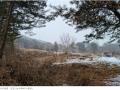2023타경82797 경기도 남양주시 화도읍 창현리 140-3 농지 경매 이미지