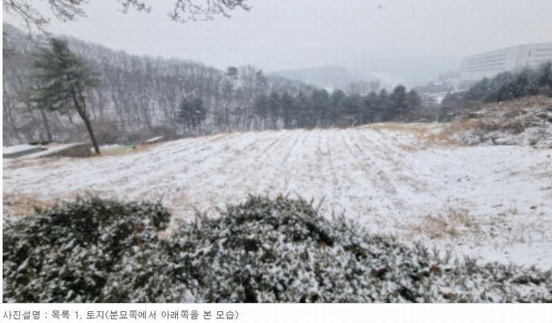 2023타경82797 경기도 남양주시 화도읍 창현리 140-3 농지 경매 이미지