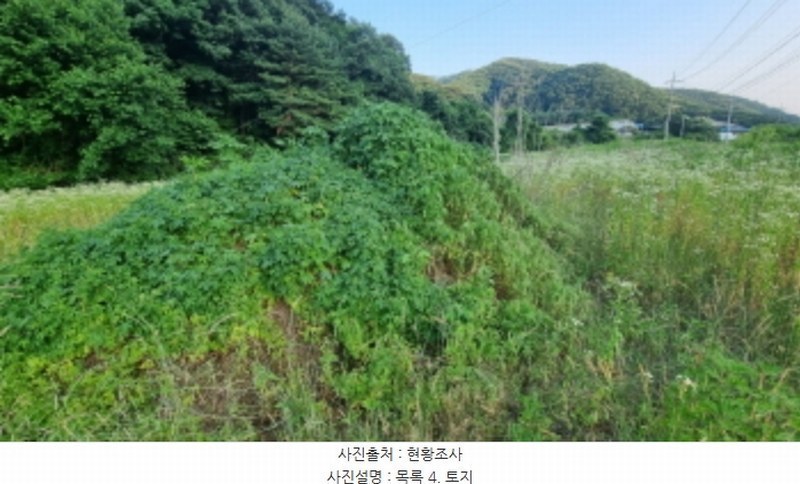 2024타경3203 경기도 가평군 북면 화악리 115-1 농지 경매 이미지