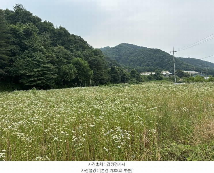 2024타경3203 경기도 가평군 북면 화악리 115-1 농지 경매 이미지
