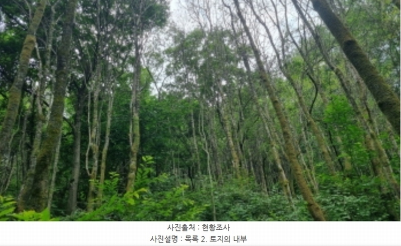 2024타경3272 경기도 가평군 가평읍 개곡리 산137 임야 경매 이미지