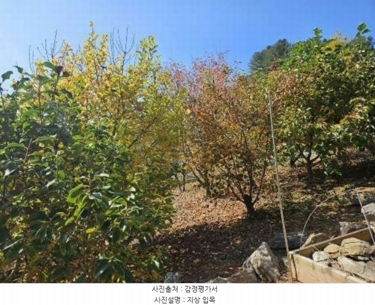 2024타경5513 경기도 가평군 설악면 설곡리 93 주택 경매 이미지