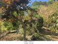 2024타경5513 경기도 가평군 설악면 설곡리 93 주택 경매 이미지