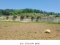 2024타경75147 경기도 가평군 청평면 상천리 산201 임야 경매 이미지