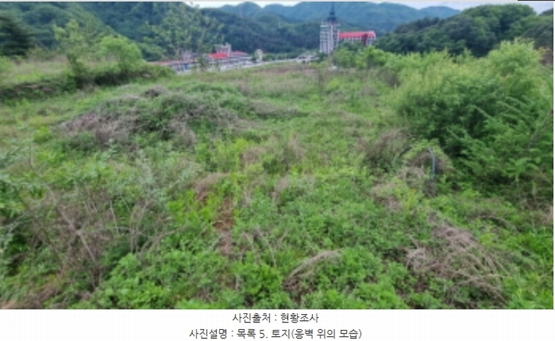 2024타경75147 경기도 가평군 청평면 상천리 산201 임야 경매 이미지