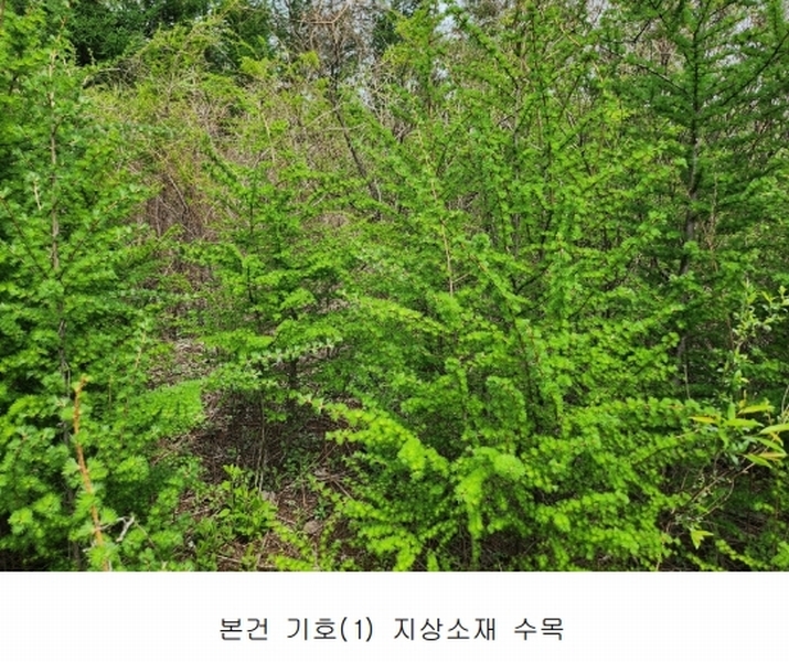 2024타경75147 경기도 가평군 청평면 상천리 산201 임야 경매 이미지