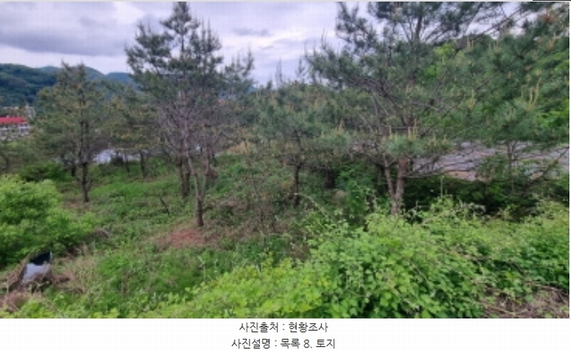 2024타경75147 경기도 가평군 청평면 상천리 산201 임야 경매 이미지