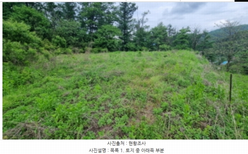 2024타경75147 경기도 가평군 청평면 상천리 산201 임야 경매 이미지